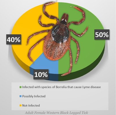 60 of Western BlackLegged Ticks Are Infected Chart